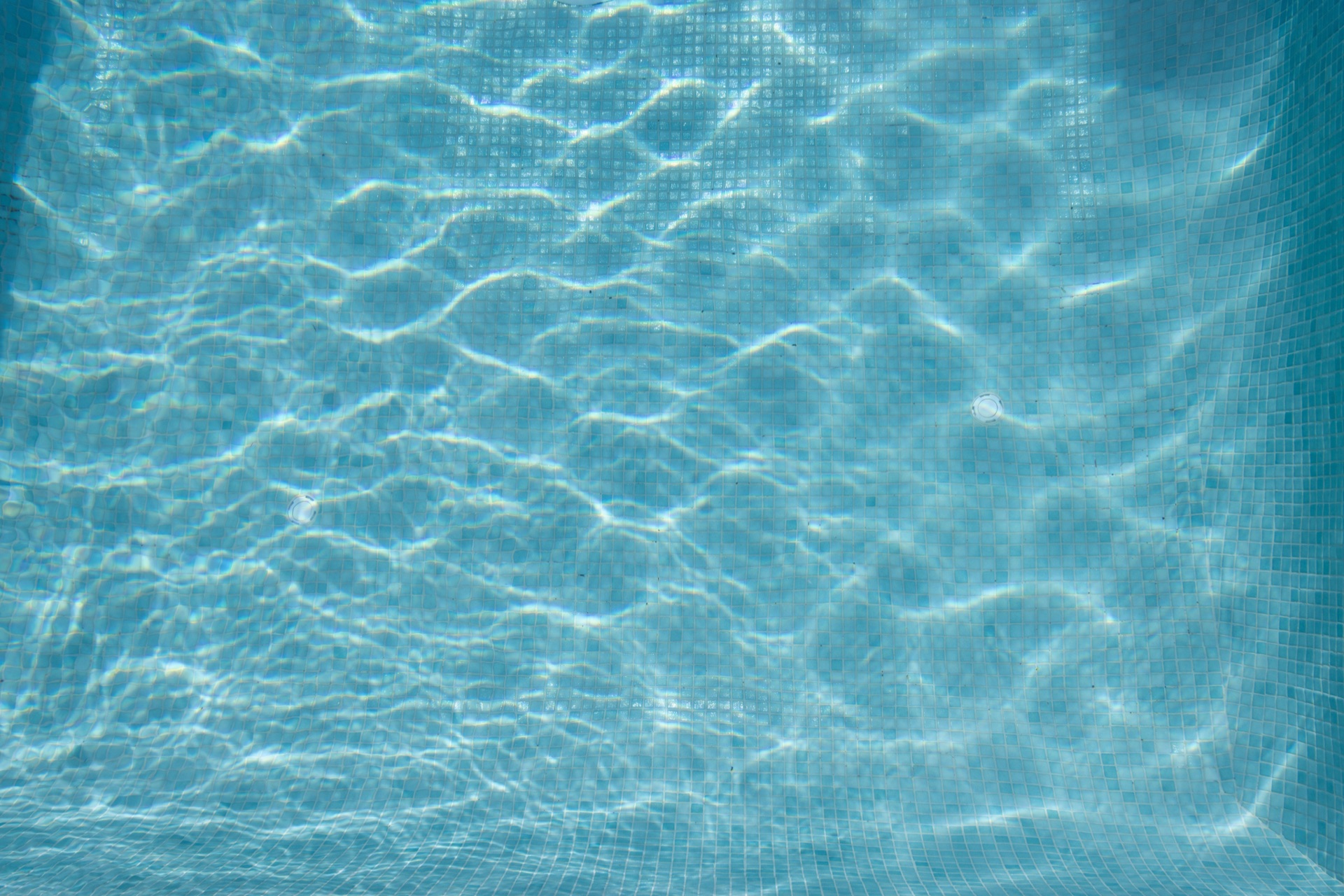 Casa Pools concrete pool build in Red Hill, Canberra